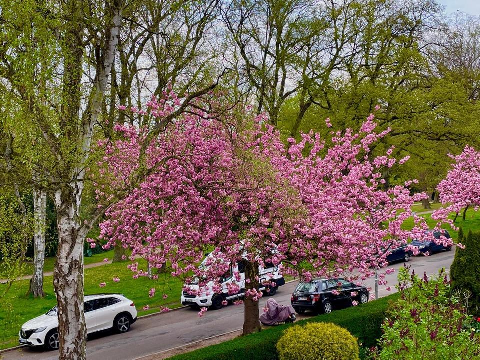 Thumbnail-4 Zimmer-ETW direkt am Stadtpark-zur Wakenitz ca. 150m