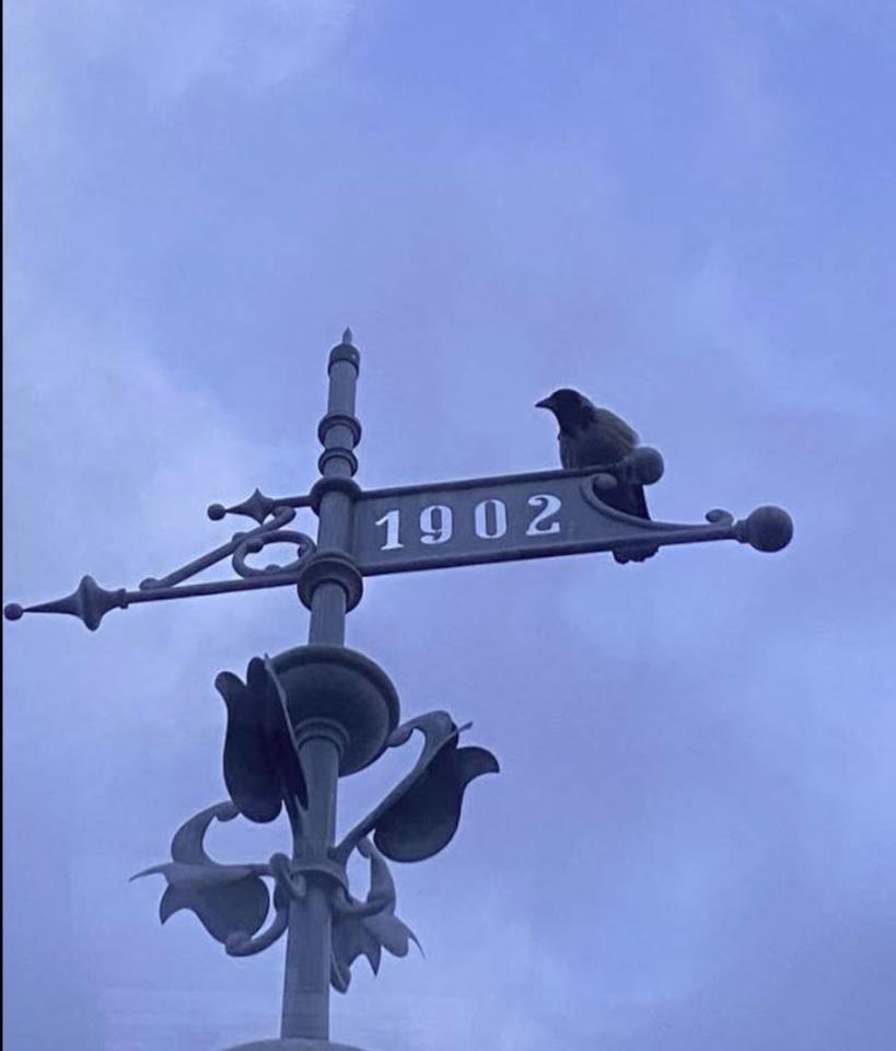 Thumbnail-Denkmalgeschützter Wasserturm in Malchin – Weitblick & Substanz