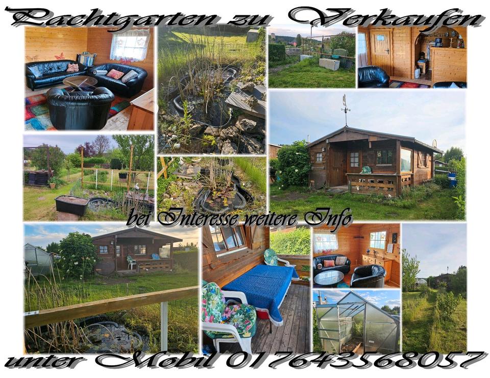 Thumbnail-Pachtgarten in Tannroda mit Holzhaus, Teich & Gewächshaus