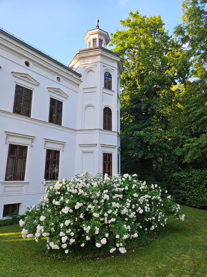 Thumbnail-Großzügige 3-Raum-Wohnung in Traumvilla am Stadtpark