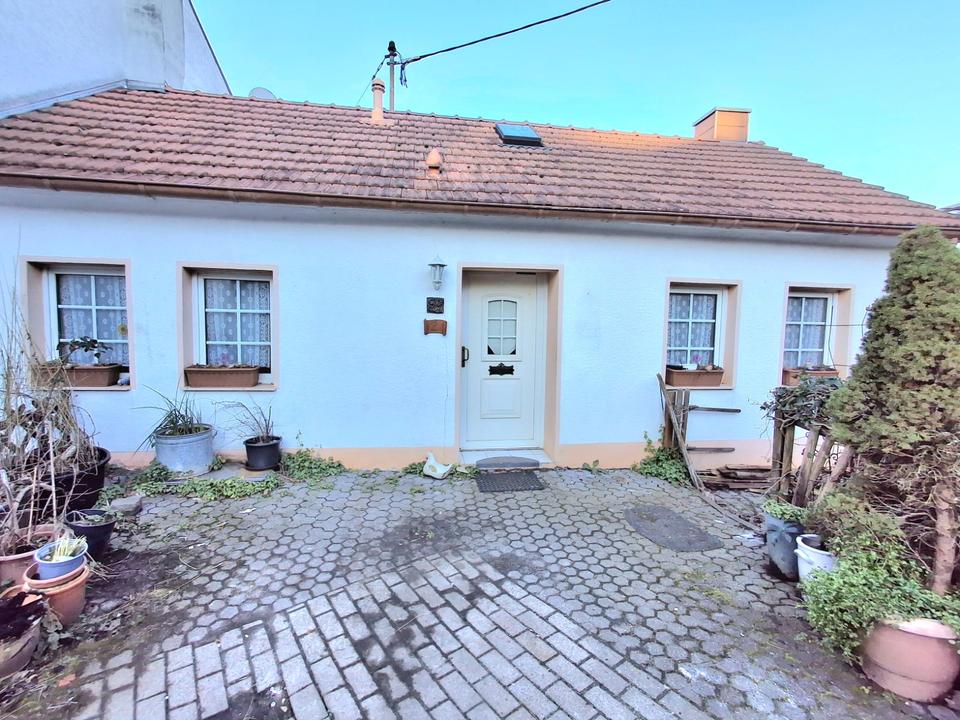 Thumbnail-Schönes behagliches lichtdurchlässiges Haus