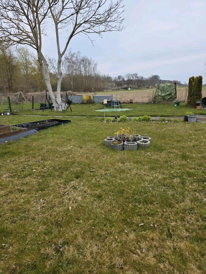 Thumbnail-2 Gärten Abzugeben in Neuzelle