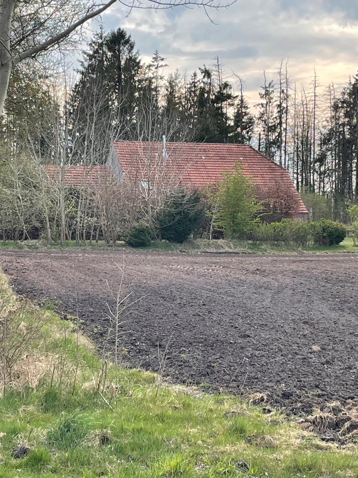 Thumbnail-Resthof unweit der Nordseeküste > 10400 qm