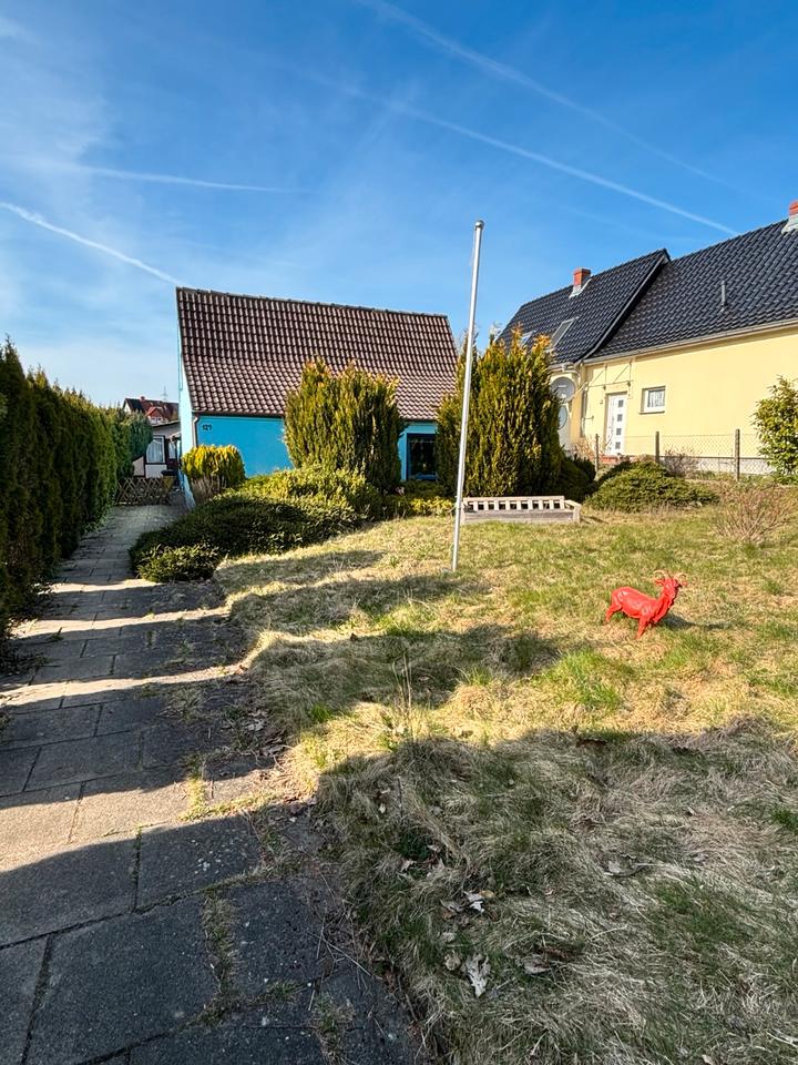 Thumbnail-Haus mit großem Grundstück in ruhiger Lage