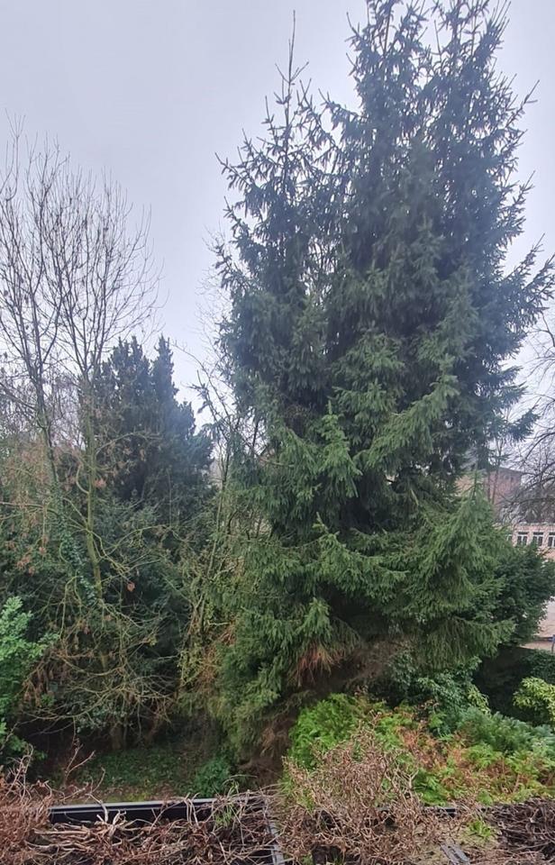 Thumbnail-Grüne Oase in Rüttenscheid!- 3 Zi.Wohnung mit Südbalkon