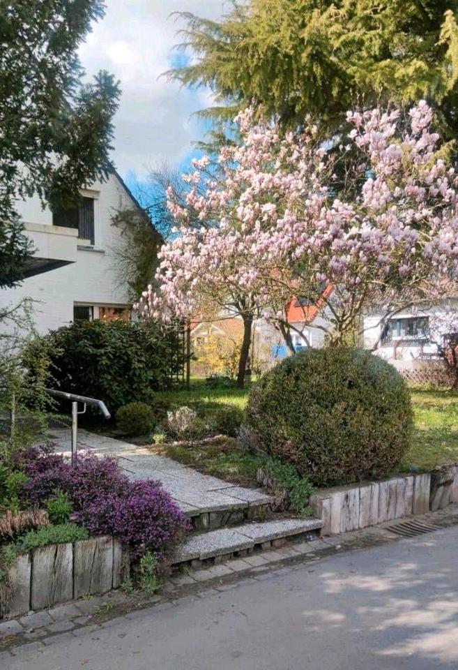 Thumbnail-Einfamilienhaus 228 qm mit Gewerbeeinheit