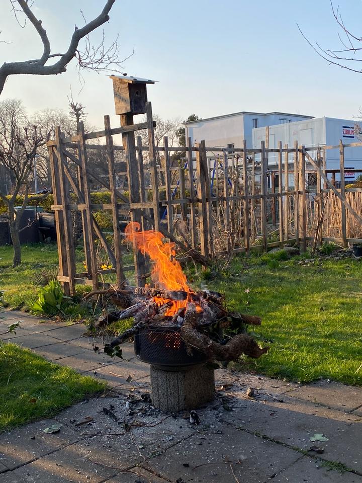 Thumbnail-Kleingarten 200m2 im Verein Alt-Probstheida e.V.