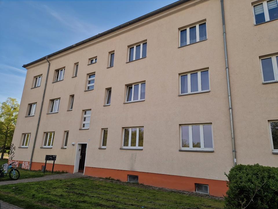 Thumbnail-Mit dem Frühling in die neue Wohnung - leben im Stadtteil Cracau!