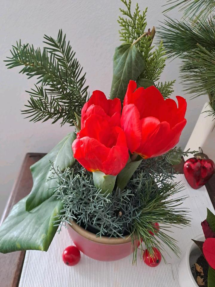 Thumbnail-wg zimmer in Groß Gerau