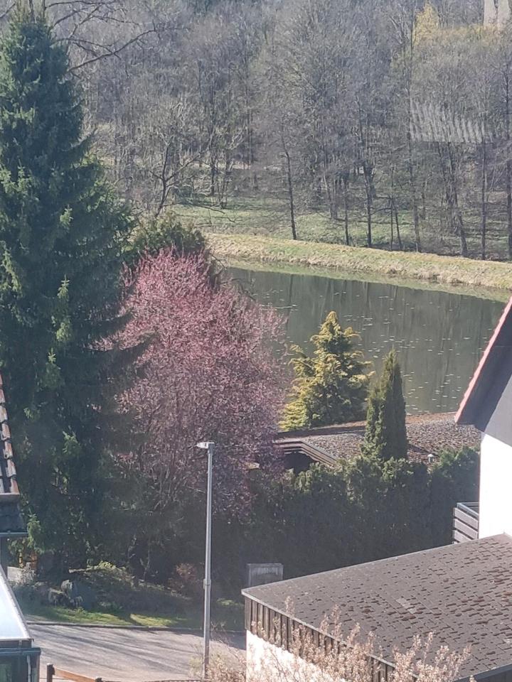 Thumbnail-Wunderschöne 3-Zimmerwohnung mit Seeblick Clausthal-Zellerfeld