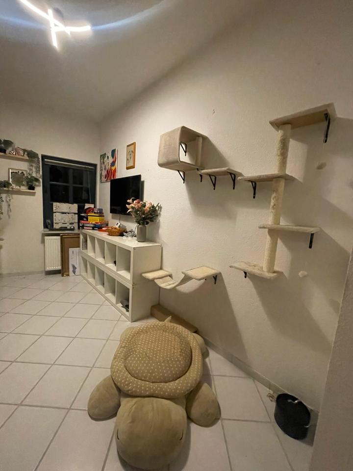 Thumbnail-‼️ANFRAGESTOPP‼️Moderne 2 Zimmerwohnung in Völksen