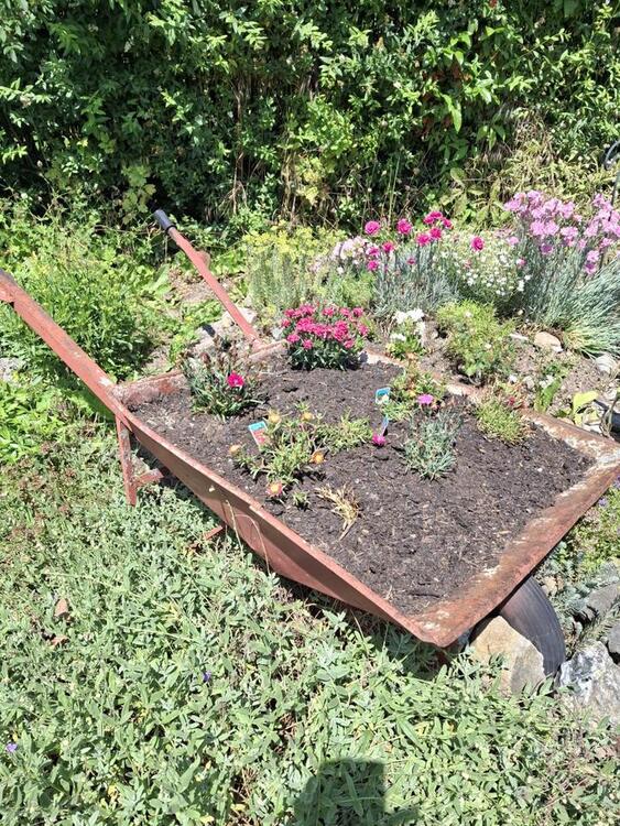 Thumbnail-Kleingarten im KGV