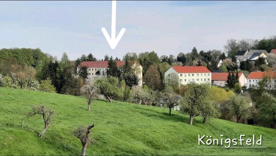 Thumbnail-ETW 3 Zimmer Königsfeld Rochlitz Geithain
