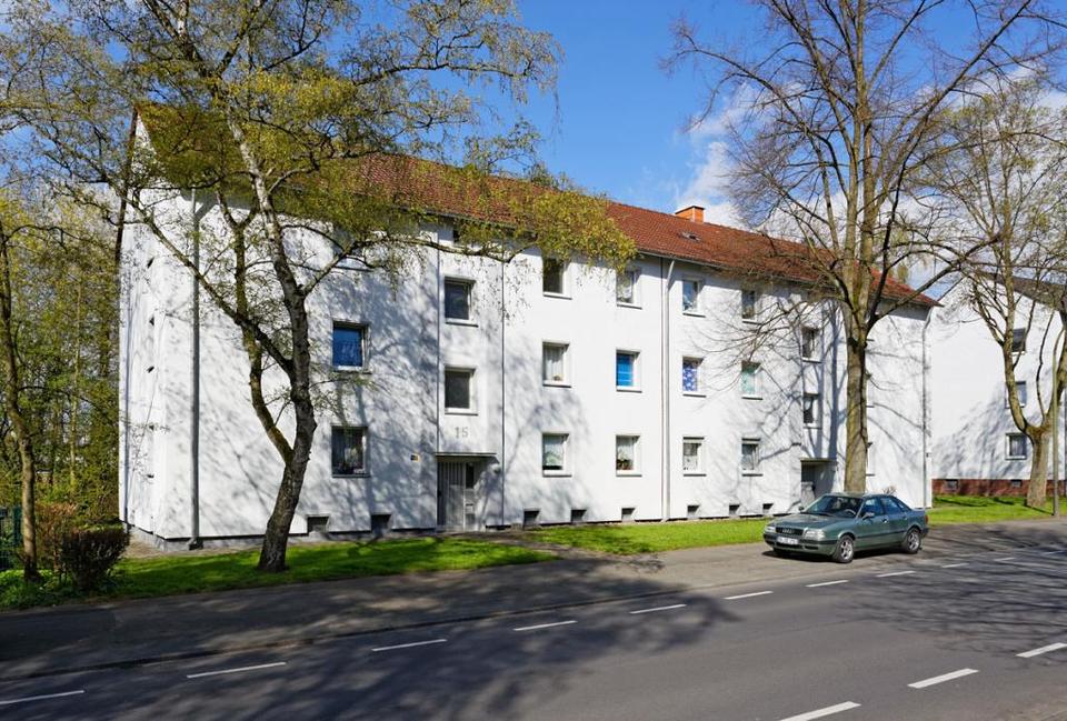 Thumbnail-*Mehr als gut geschnitten!*