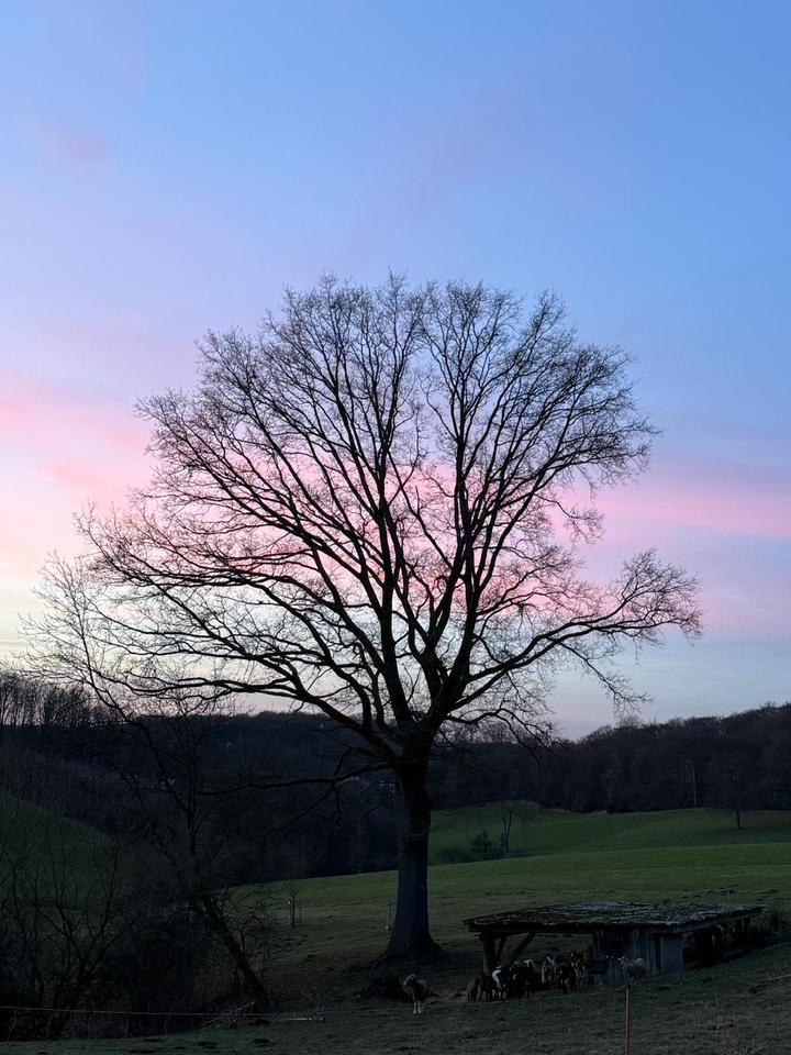 Thumbnail-Wohnung in Kürten-Bechen zu vermieten
