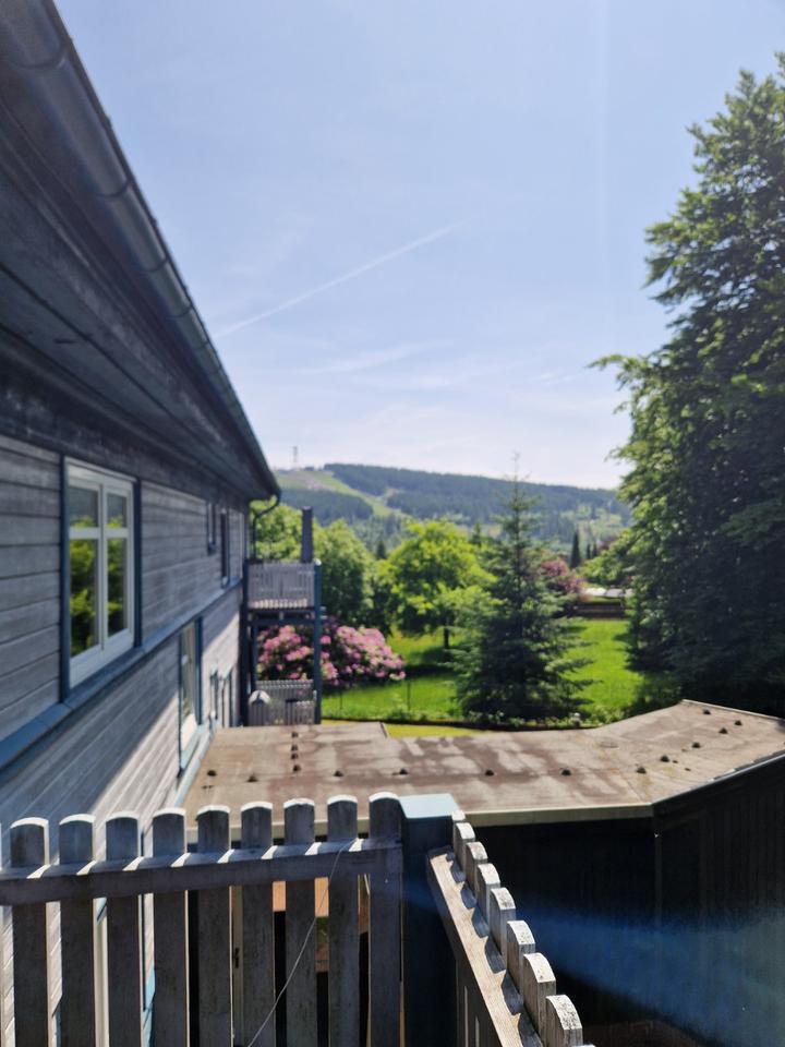 Thumbnail-Ferienwohnung in Hahnenklee mit Hund