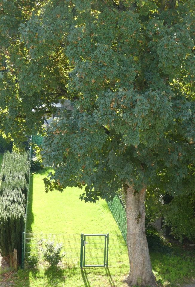 Thumbnail-repräsentatives Stadthaus in Citylage von Hilden