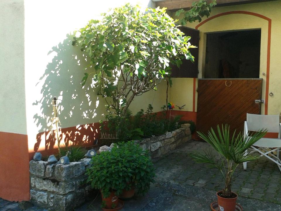 Thumbnail-Einfamilienhaus mit großem Grundstück