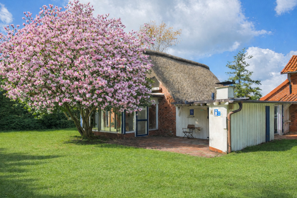 Thumbnail-Landhaus mit Reetdach – zwei Wohnhäuser auf großem Grundstück mit