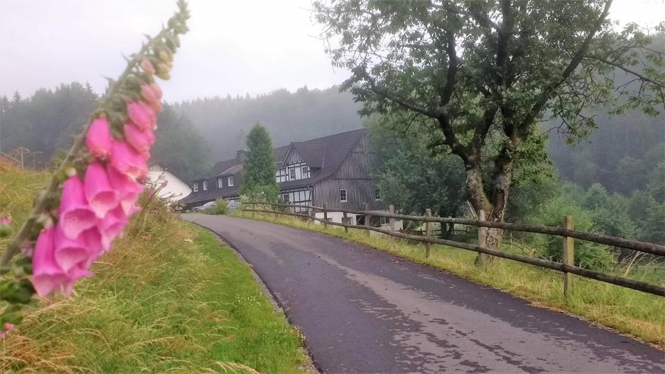 Thumbnail-FeWo im Sauerland - teilweise in den Osterferien noch frei!