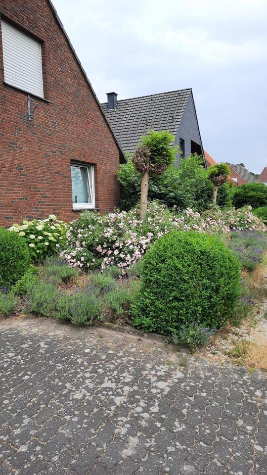 Thumbnail-Haus in Weeze