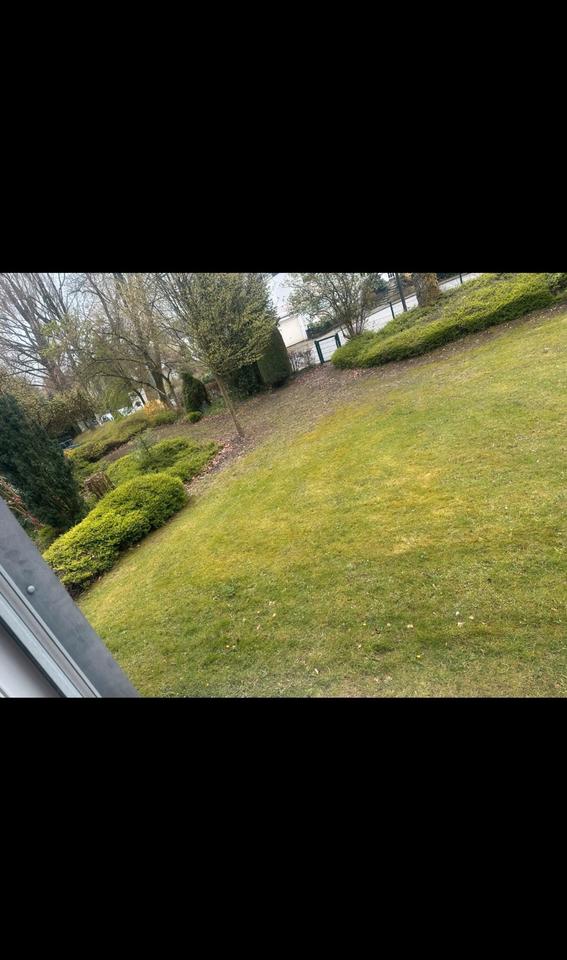 Thumbnail-2 Zimmer Wohnung, Erstbezug nach Sanierung