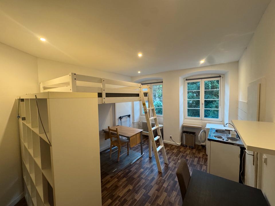 Thumbnail-1-Zimmer-Wohnung in Heidelberg-Altstadt mit Schlossblick – Nachmi