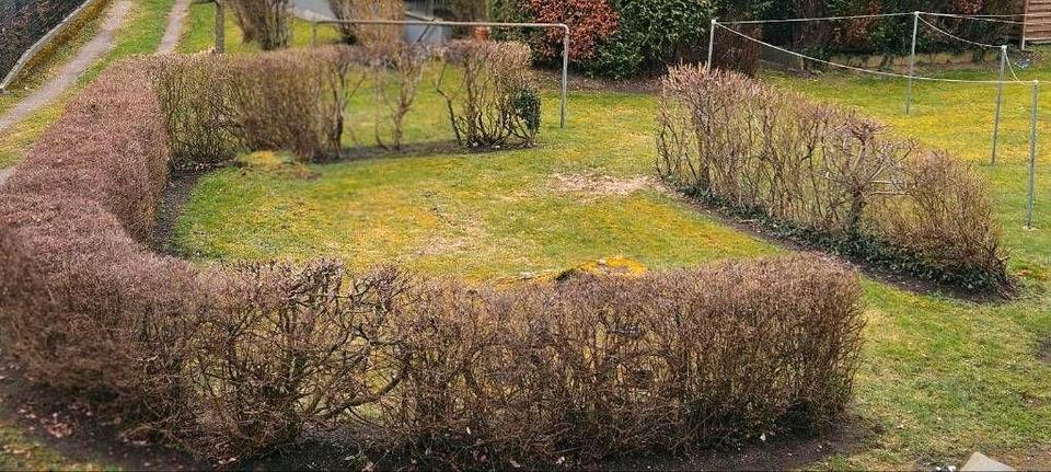 Thumbnail-3 Zimmer Wohnung zu Vermieten