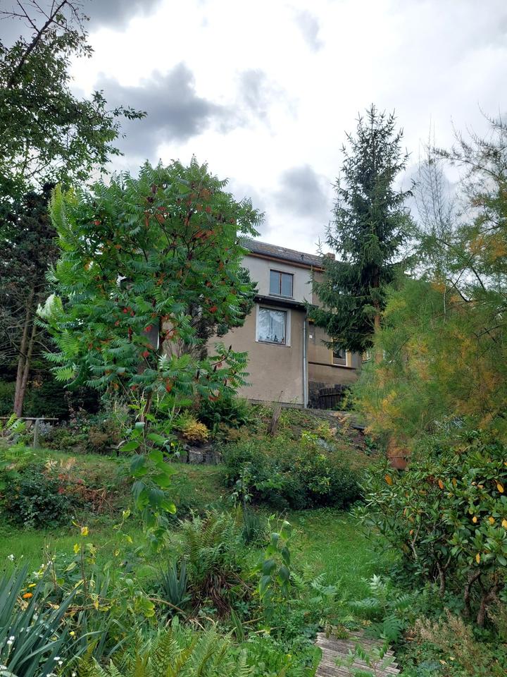 Thumbnail-Haus mit Traumgarten