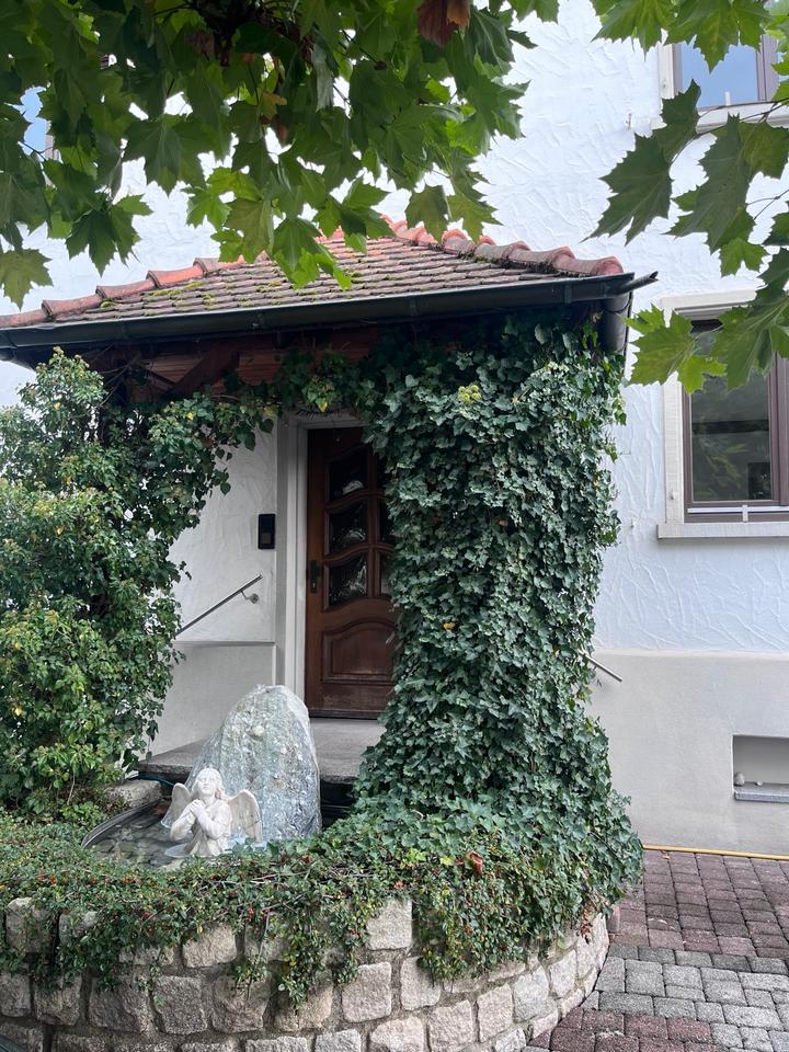 Thumbnail-2-Zi.-Whg. In Moos am Bodensee zu vermieten