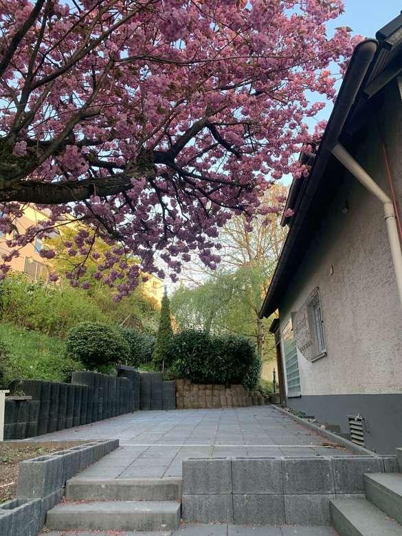 Thumbnail-Freistehendes Einfamilienhaus mit Schwimmbad und Sauna