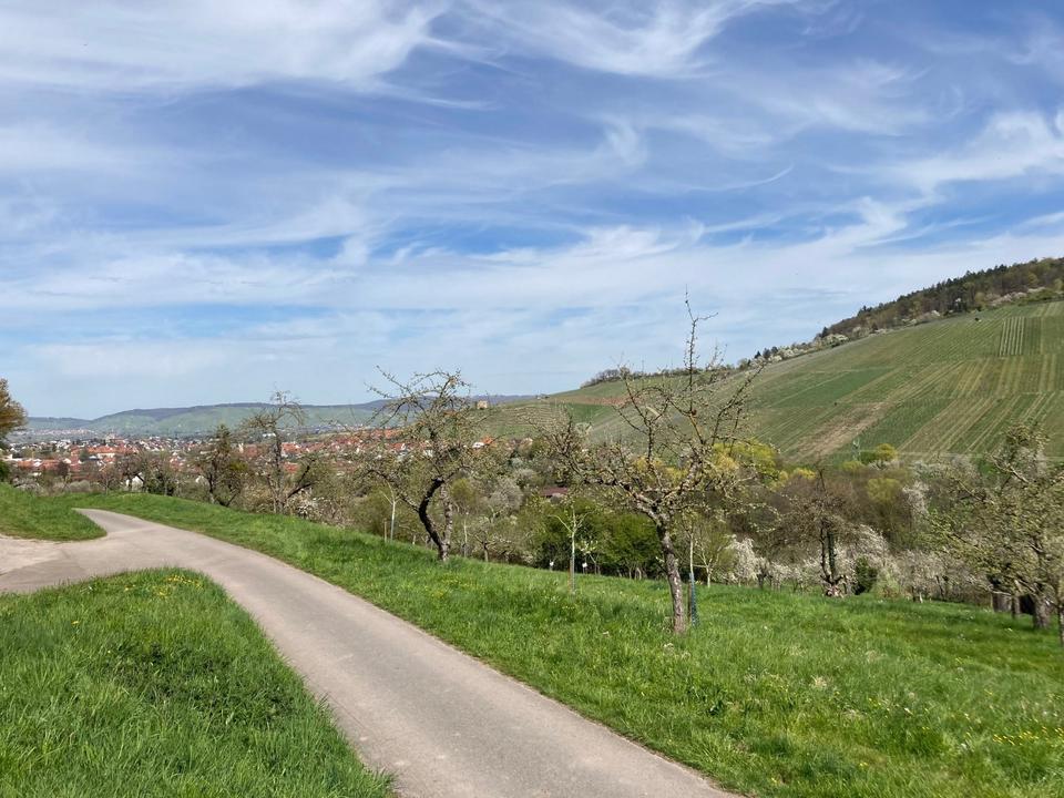 Thumbnail-Streuobstwiese mitten in der Natur zu verpachten Kernen-Stetten