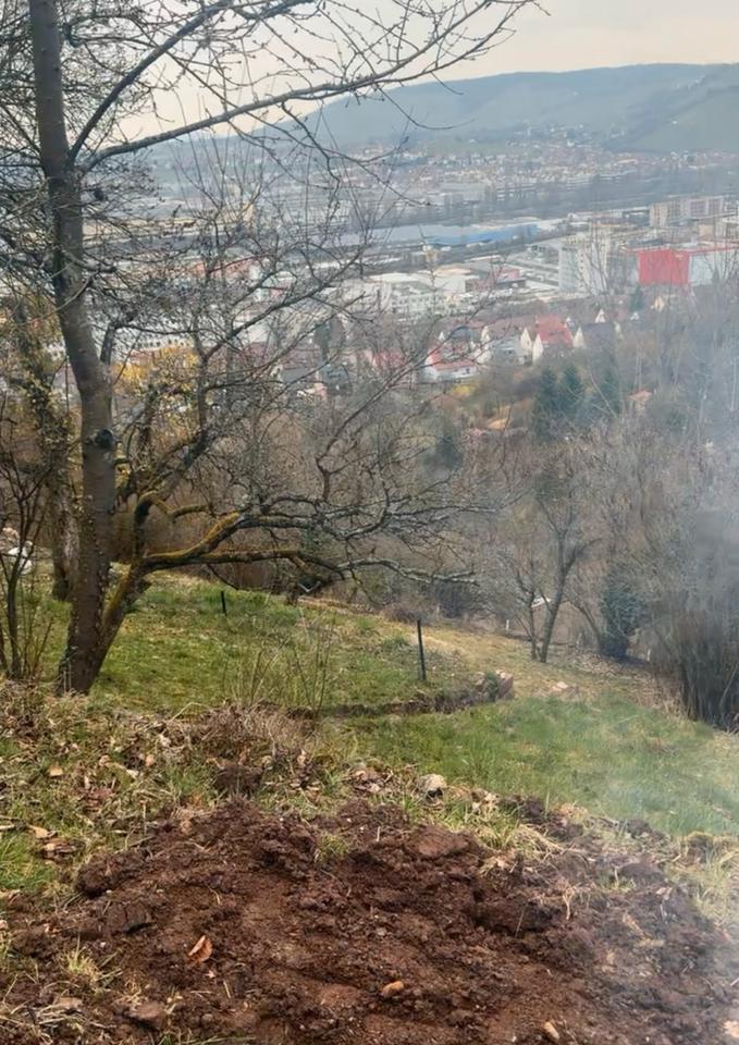 Thumbnail-Schrebergarten zu Vermiete Stuttgart Wangen mit gemauerter Hütte