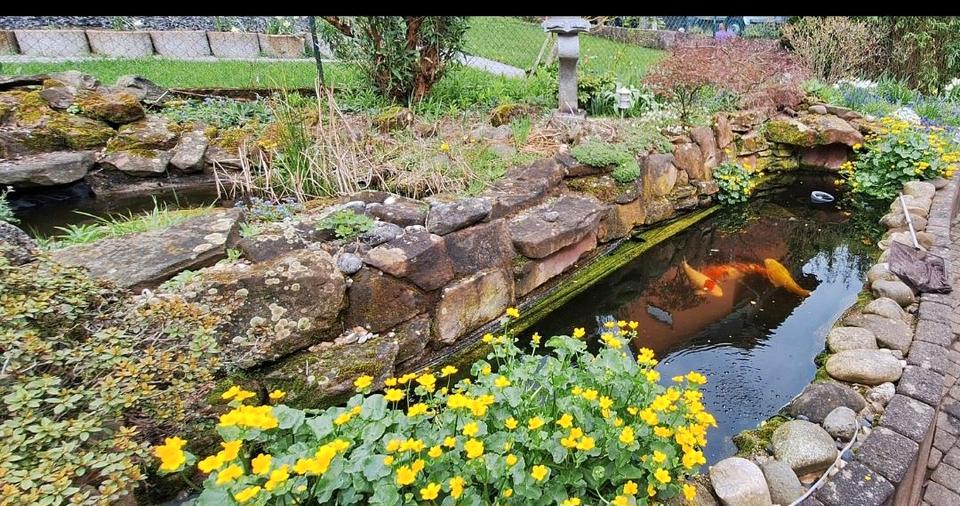 Thumbnail-2 Fam. Haus mit viel Platz für eine große Familie