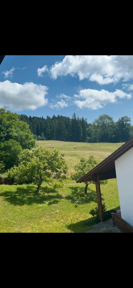 Thumbnail-DG Wohnung zu vermieten