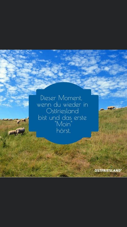 Thumbnail-Ferienwohnung „Unter den Linden „ Ostfriesland