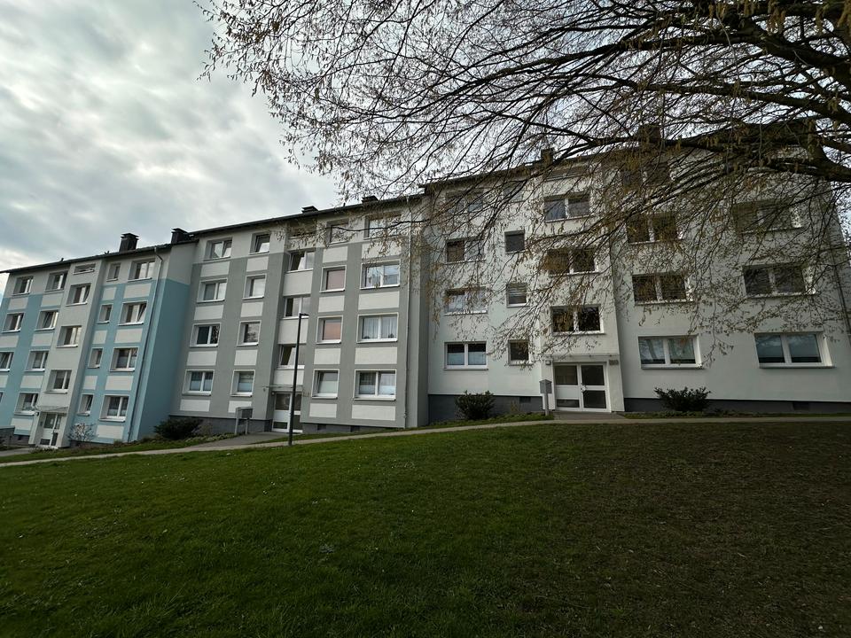 Thumbnail-Komplett modernisierte 2-Zimmer Wohnung in Hagen