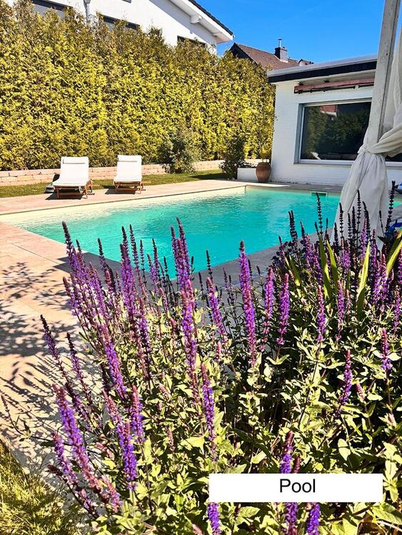 Thumbnail-Komplett sanierter Bungalow mit Pool - Provisionsfrei