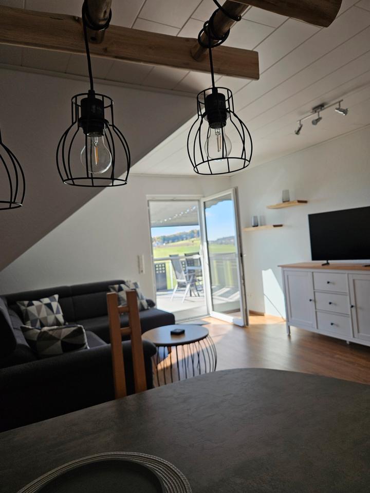 Thumbnail-Große Ferienwohnung, Region Schwarzwald Europa-Park