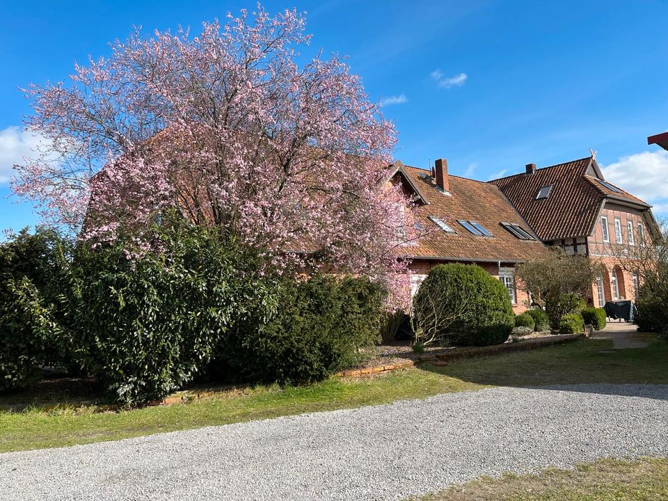 Thumbnail-Ferienwohnung Lüneburger Heide Aller-Leine-Tal