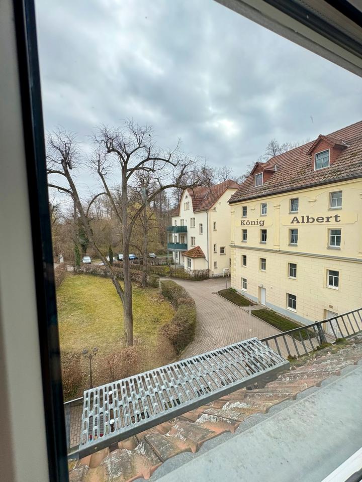 Thumbnail-Helle, frisch sanierte 2-Zimmer-Wohnung am Stadtpark Großenhain