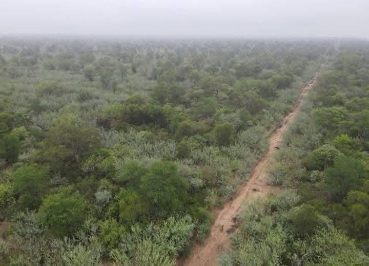 Thumbnail-Fokus auf Investment & Zukunft 5000 ha in Paraguay