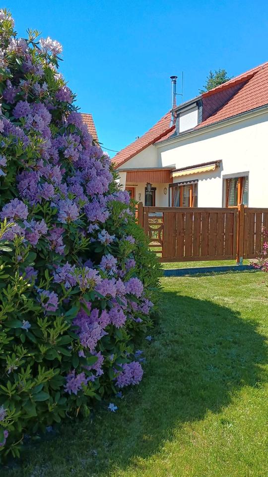 Thumbnail-Einfamilienhaus in Struppen zu verkaufen