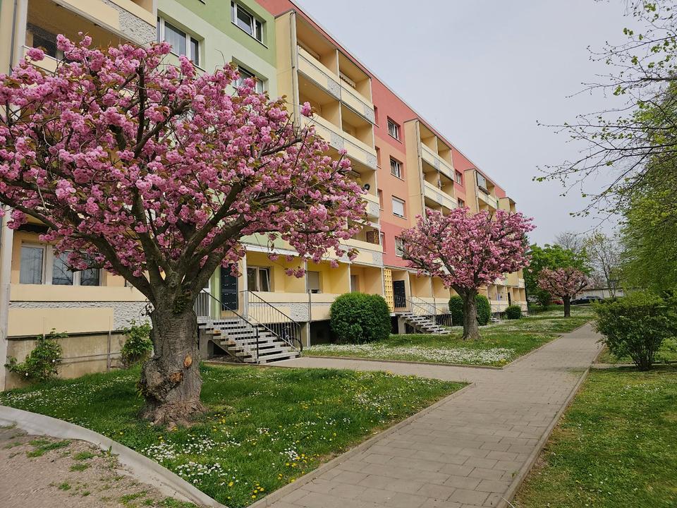 Thumbnail-Sanierte 3 Raumwohnung mit Balkon, Bad mit Wanne und Fenster