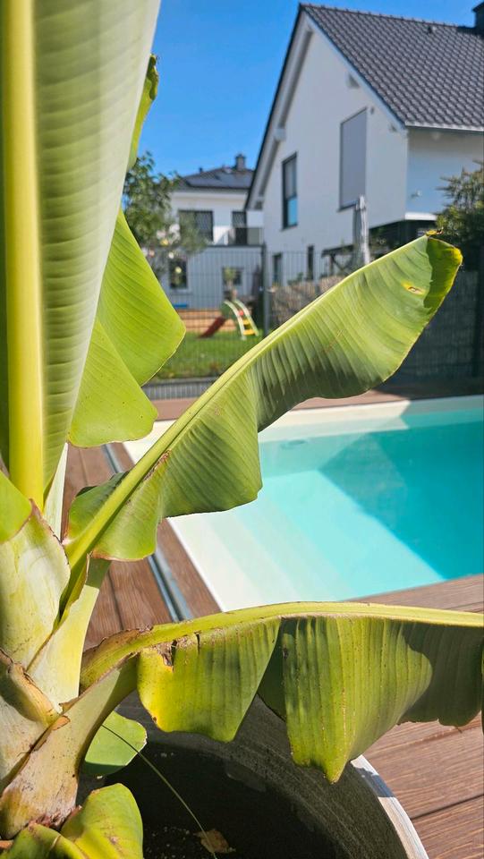 Thumbnail-Stadtvilla in Erlensee