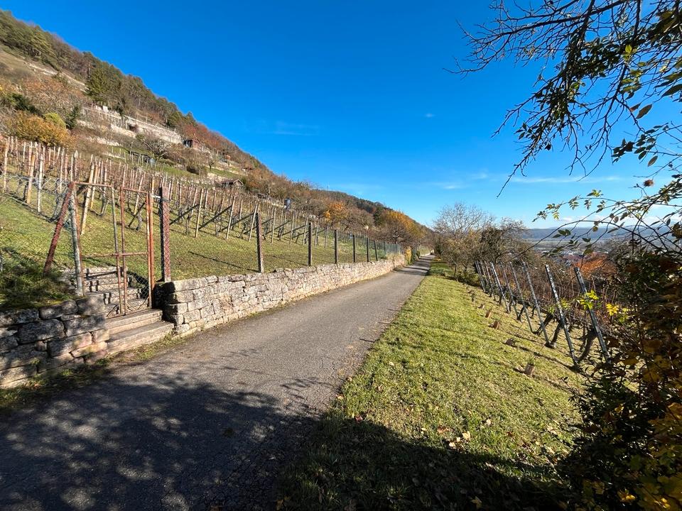 Thumbnail-Weinberg in Tübingen-Hirschau zu verkaufen