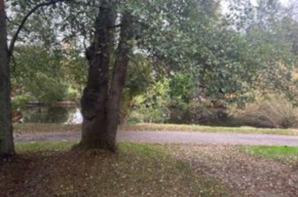 Thumbnail-Holzhaus am See