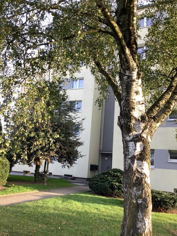 Thumbnail-Renovierte 3 Zimmer mit Balkon in ruhiger, grüner Wohnlage