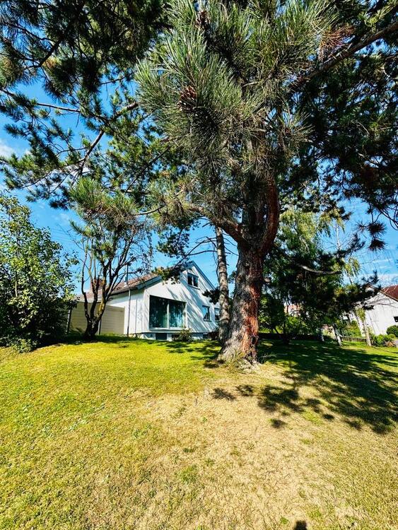 Thumbnail-*jetzt provisionsfrei* Einfamilienhaus Notzingen gr. Grundstückk