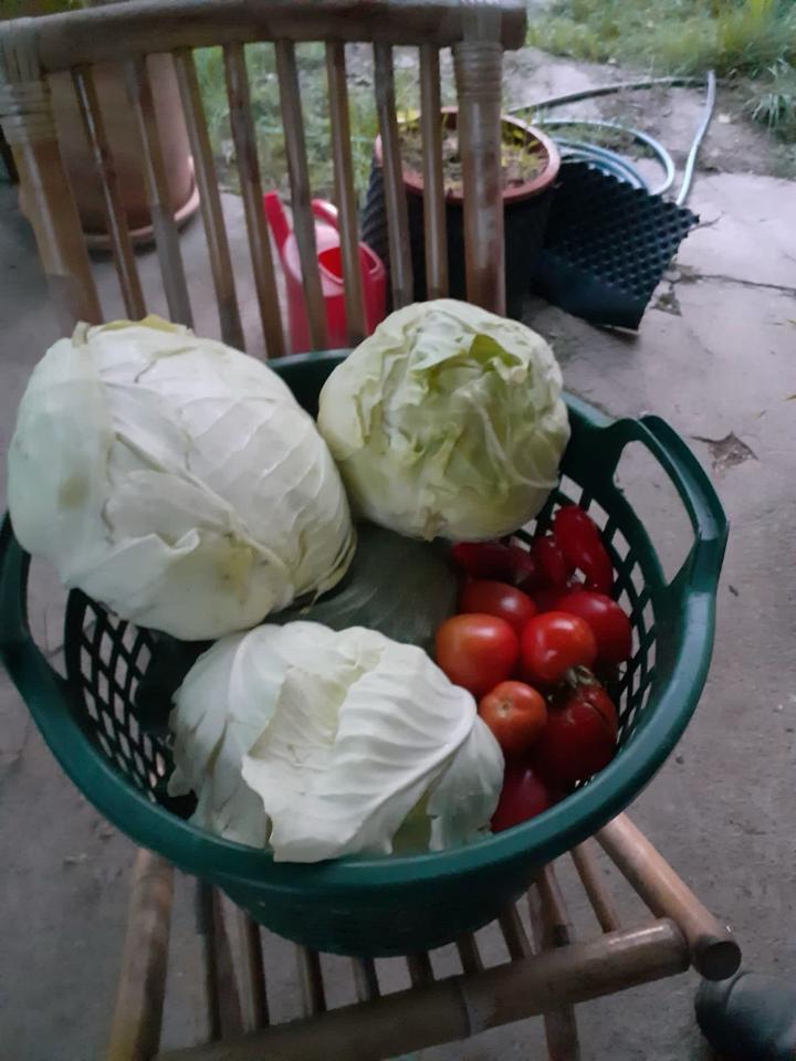 Thumbnail-Gemeinschaftsgarten Garten